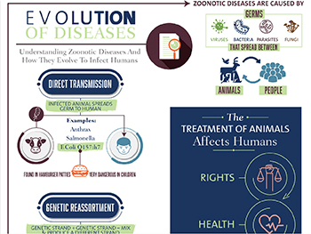 hypothesis on zoonotic diseases